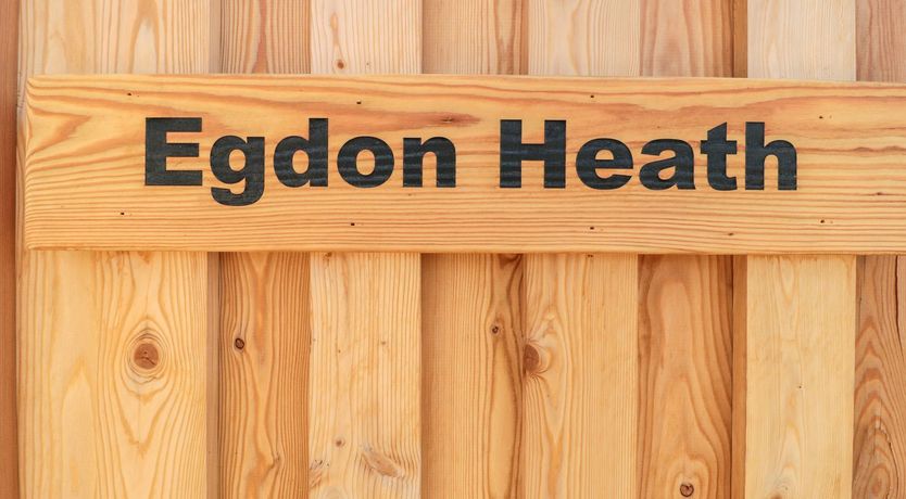 Photo of Egdon Heath