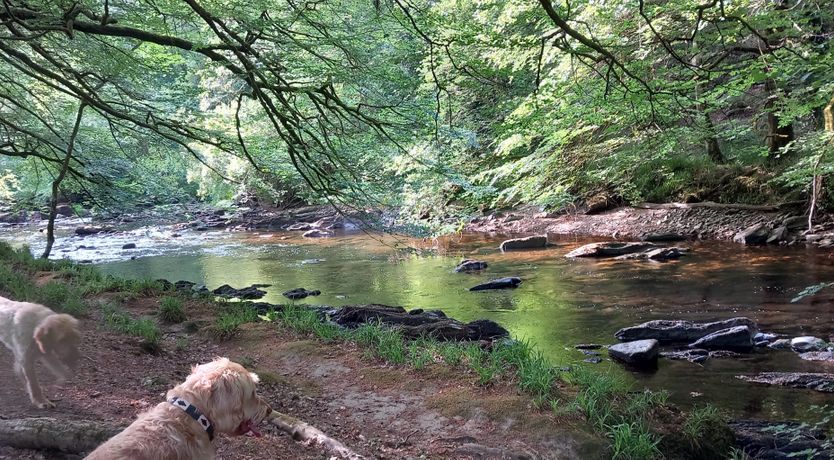 Photo of Sheepfold Cottage, Dulverton
