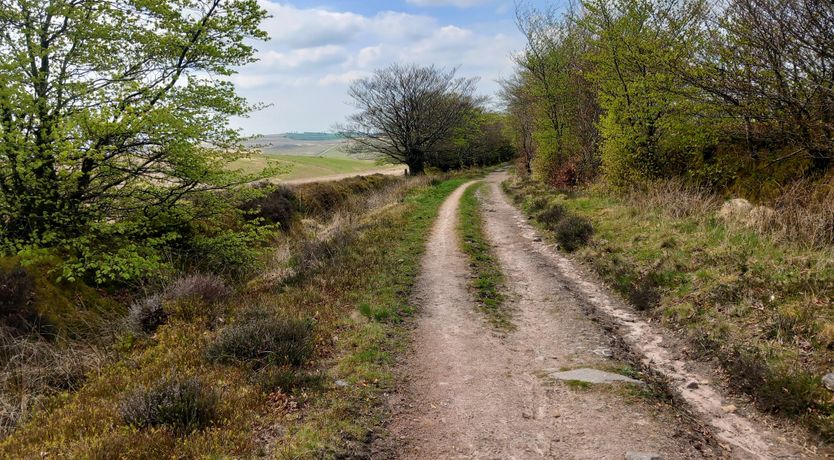 Photo of Sheepfold Cottage, Dulverton