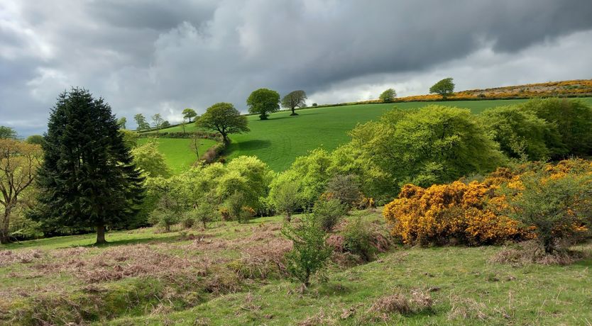 Photo of Sheepfold Cottage, Dulverton