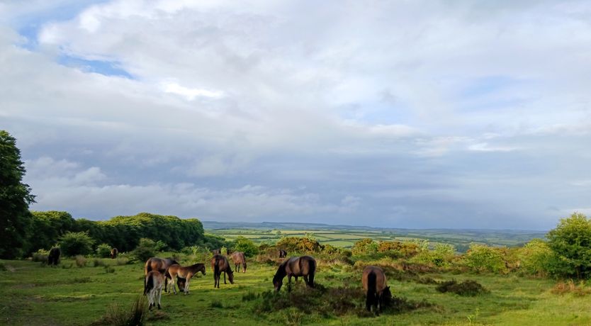 Photo of Sheepfold Cottage, Dulverton