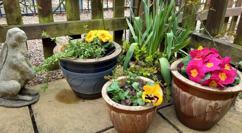 Photo of Sheepfold Cottage, Dulverton