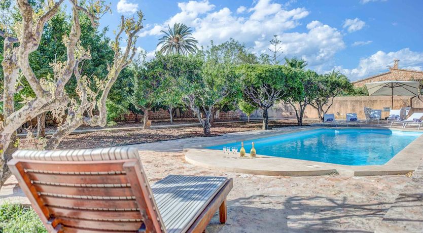 Photo of Superiority Complex