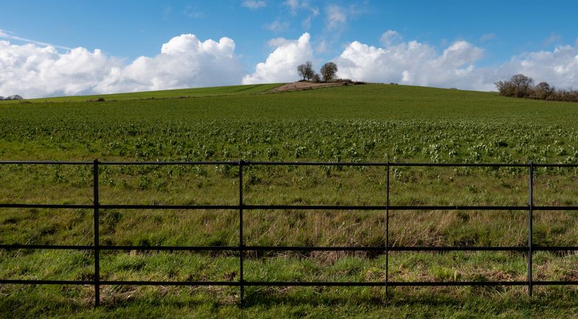 Photo of Home Sweet House