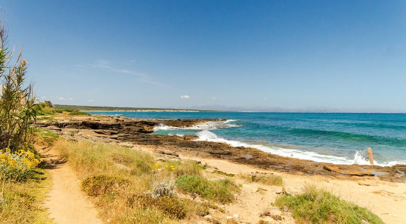 Photo of The Edge of the Sea