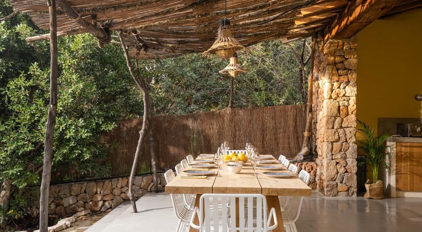 Photo of Lavender Muse