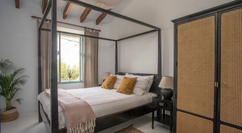 Photo of Lavender Muse