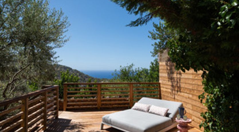 Photo of Lavender Muse