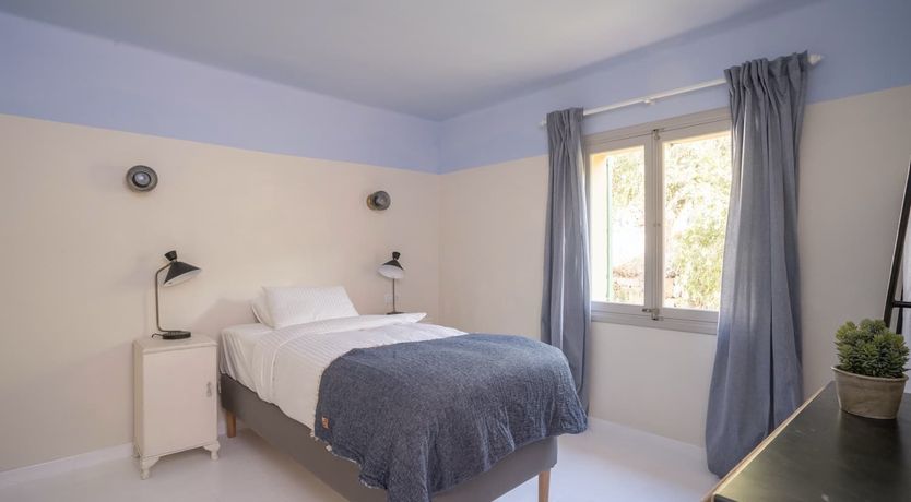 Photo of Lavender Muse