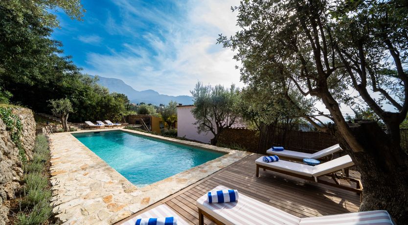 Photo of Lavender Muse