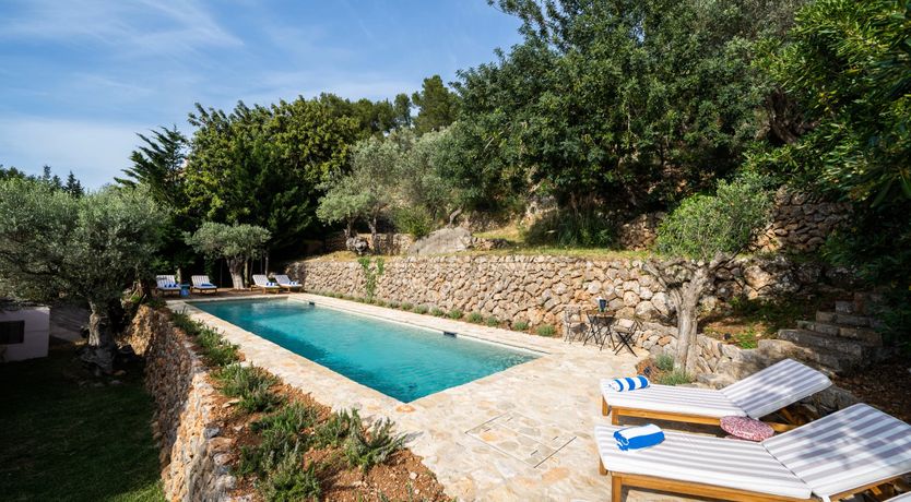 Photo of Lavender Muse