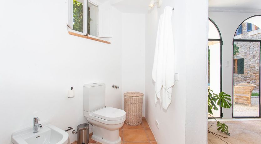 Photo of Palma Olive