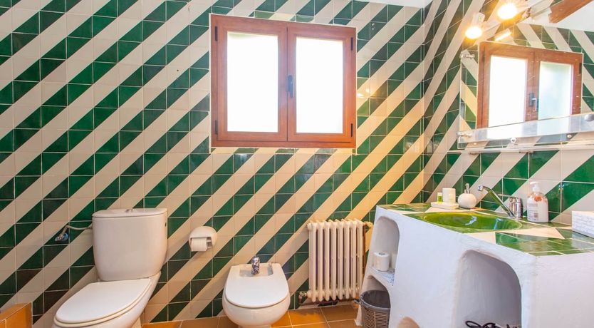 Photo of Palma Olive