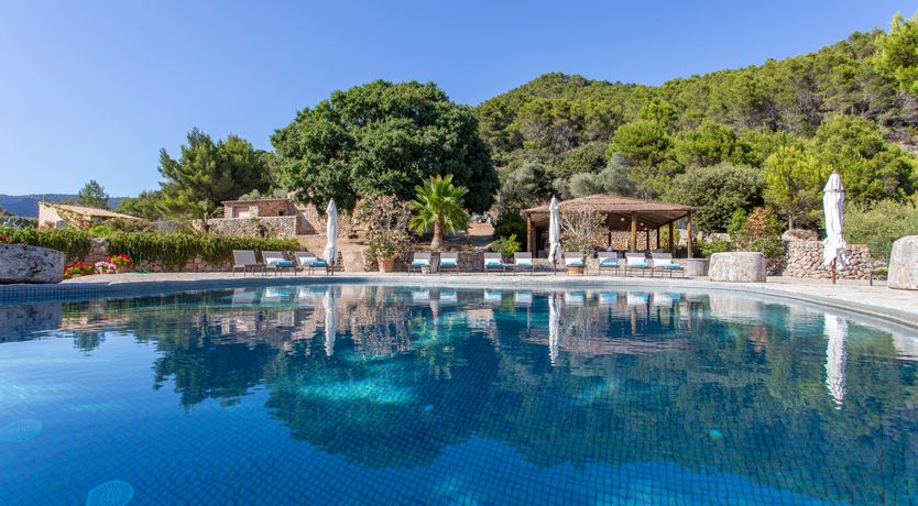 Photo of Palma Olive