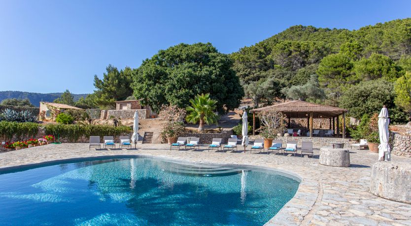 Photo of Palma Olive