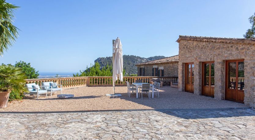 Photo of Palma Olive