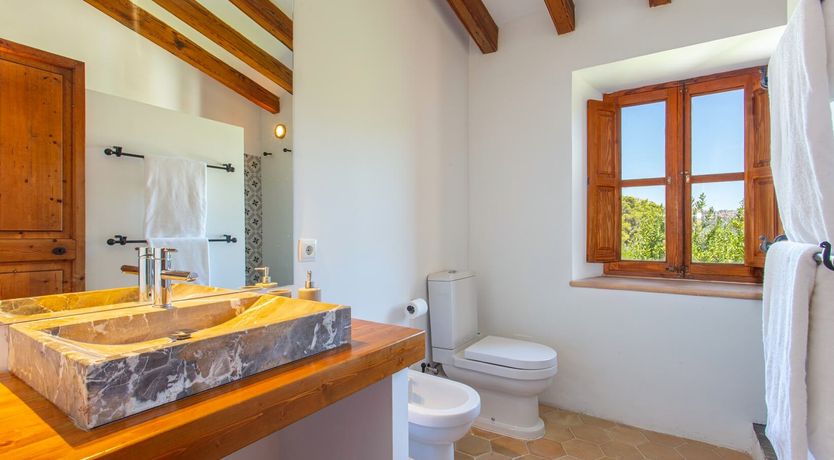 Photo of Palma Olive