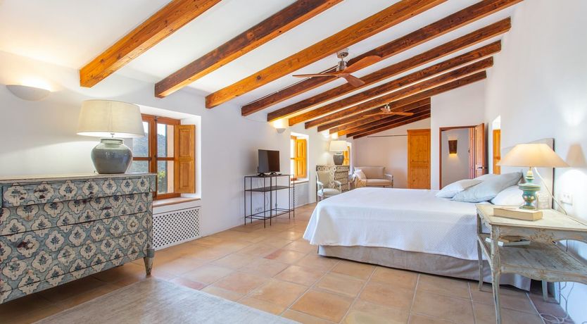 Photo of Palma Olive