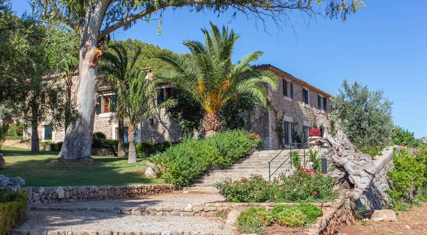 Photo of Palma Olive