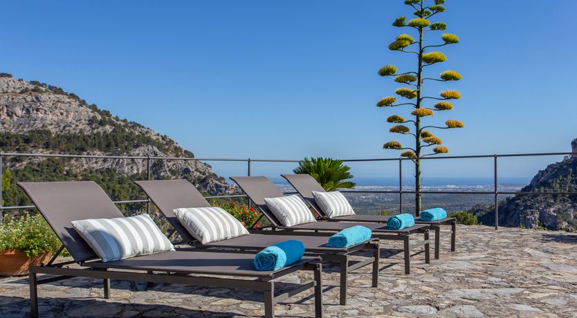 Photo of Palma Olive