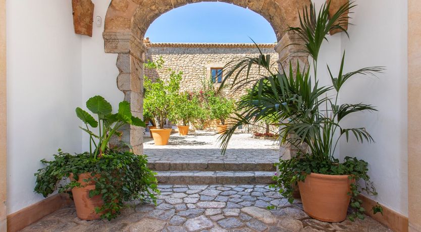 Photo of Palma Olive