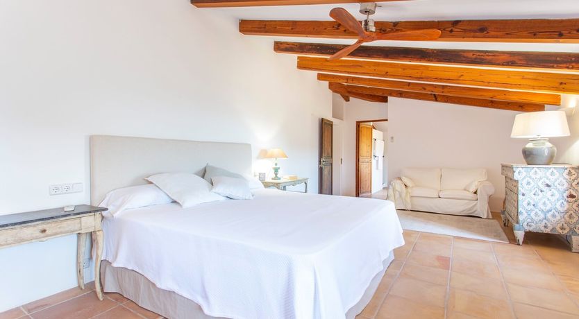 Photo of Palma Olive