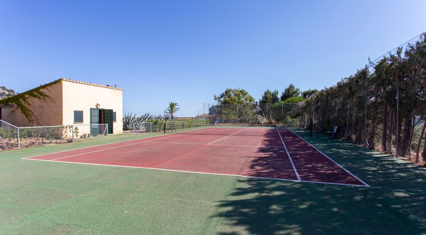 Photo of Palma Olive