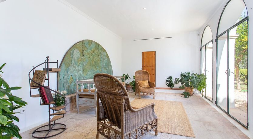 Photo of Palma Olive