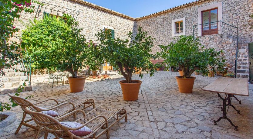 Photo of Palma Olive