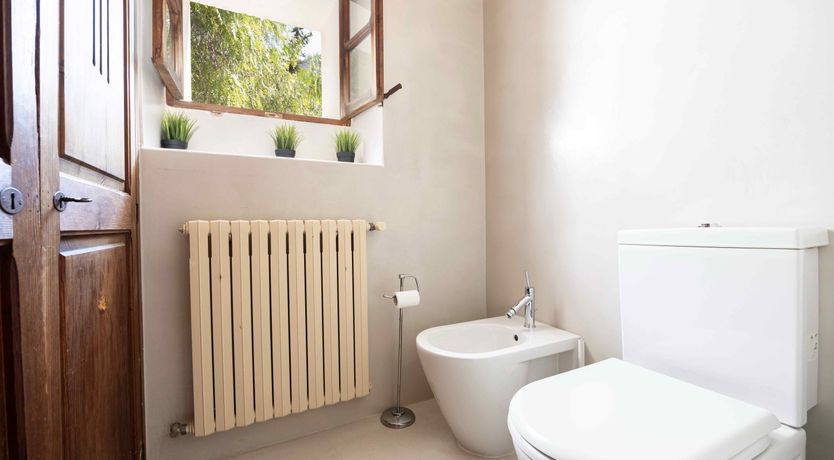 Photo of The Mallorcan Dream