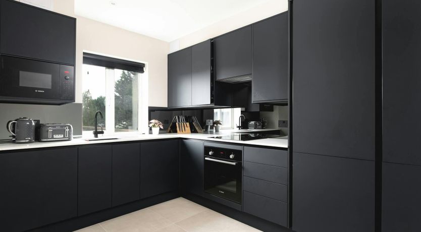 Photo of Northern Night