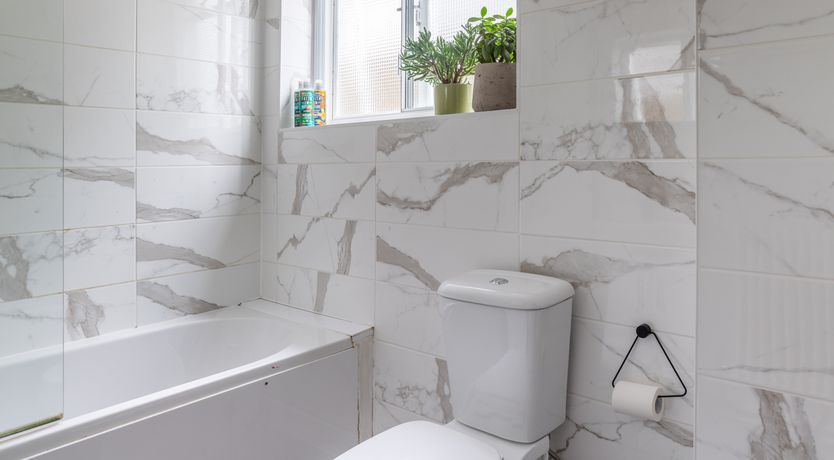 Photo of Off the Grid