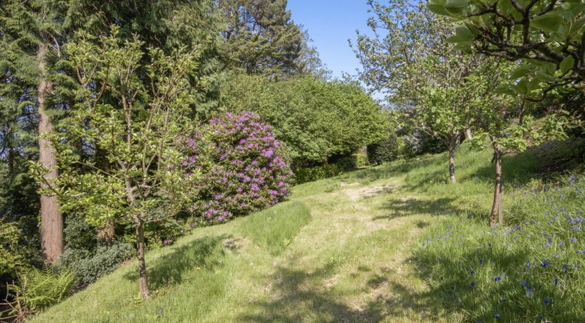 Photo of Little Hanger, Porlock