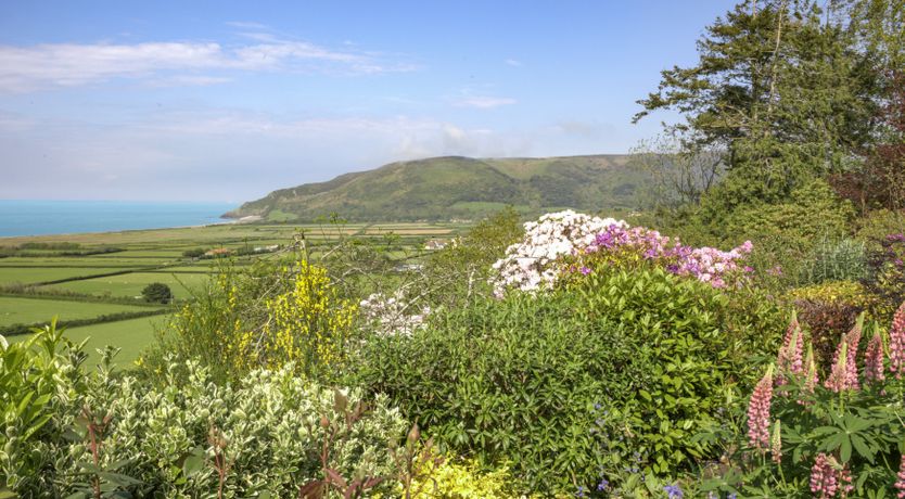 Photo of Little Hanger, Porlock