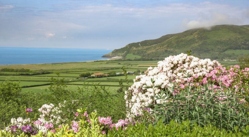 Photo of Little Hanger, Porlock