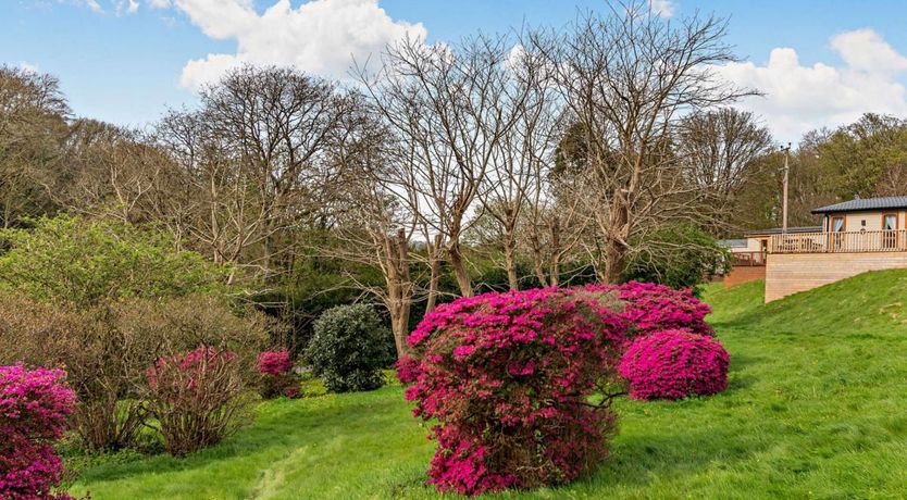 Photo of 2 Bed in Newport