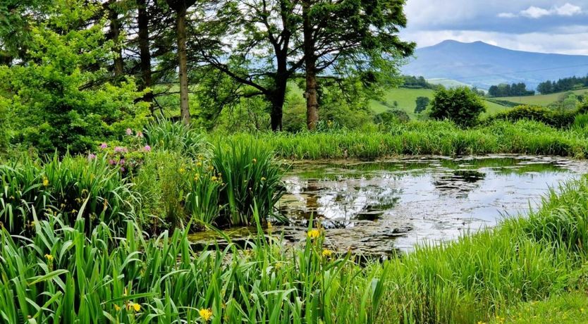 Photo of Cottage in Mid Wales