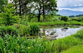 Photo of cottage-in-mid-wales-8