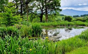 Photo of Cottage in Mid Wales