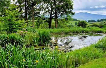 Cottage in Mid Wales Holiday Home