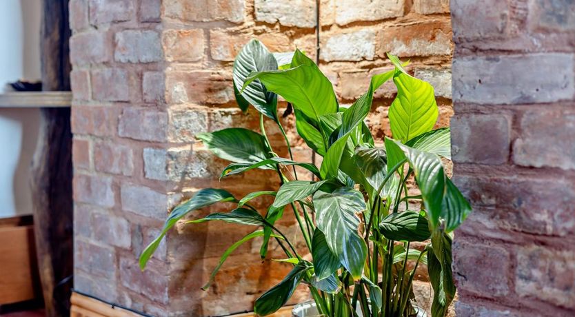 Photo of 4 Bed in Bala