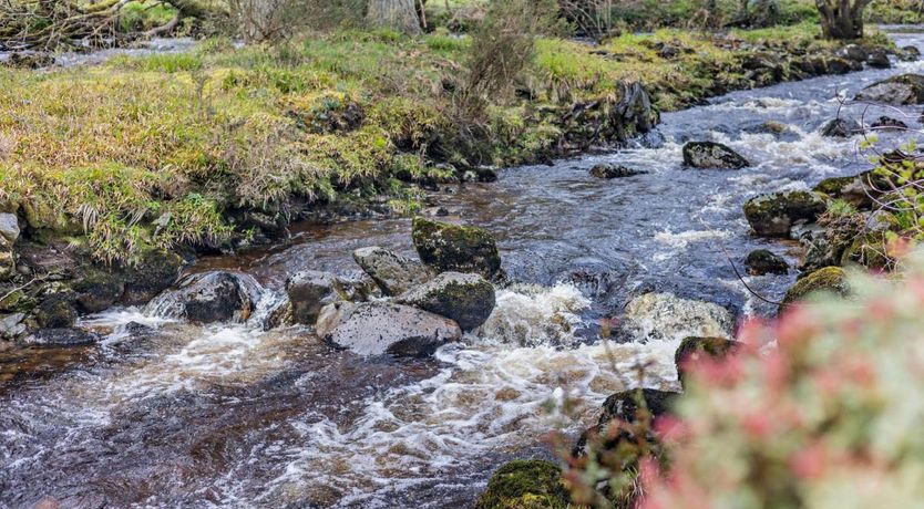 Photo of 3 Bed in Llanuwchllyn