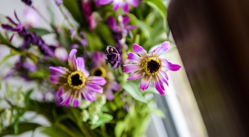 Photo of The Old Sweet Shop