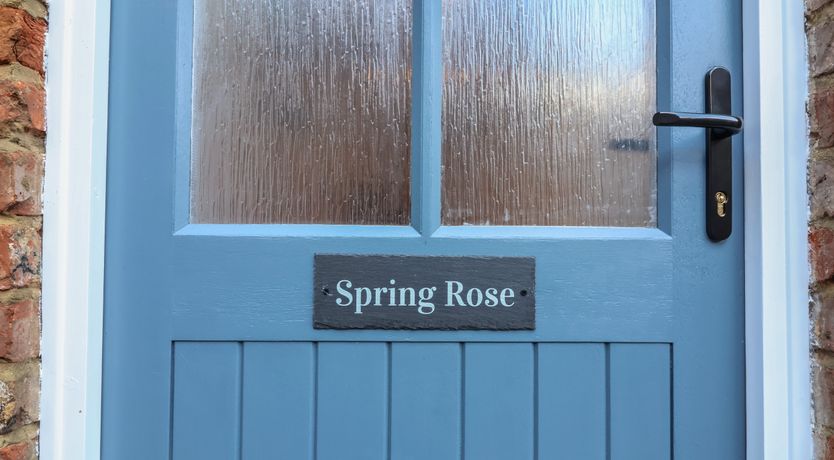 Photo of Spring Rose