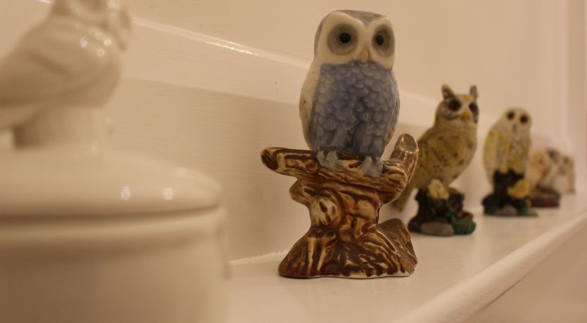 Photo of Narracott Down