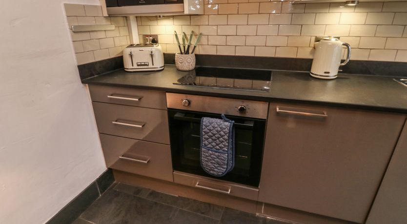 Photo of Mulberry Tree