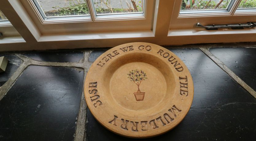 Photo of Mulberry Tree