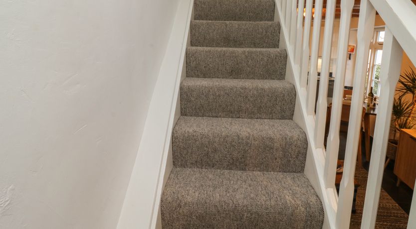 Photo of Mulberry Tree