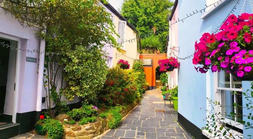 Photo of Mulberry Tree