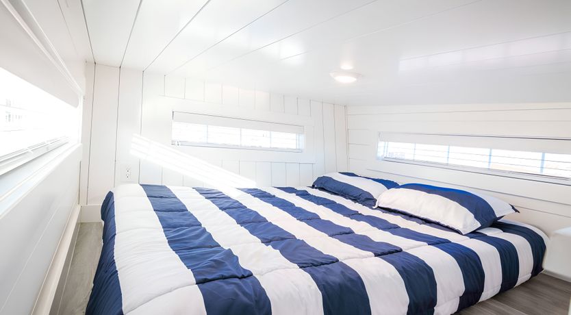 Photo of Desert Starlight